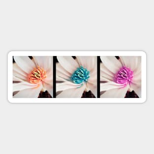 Flower Trio Pop Art Style photo art Sticker